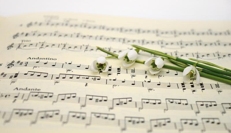 All welcome as Tipperary choir plans October return