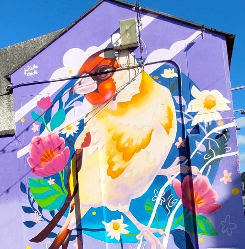 Tipperary County Council will focus on the ‘attractiveness’ of Tipperary’s towns