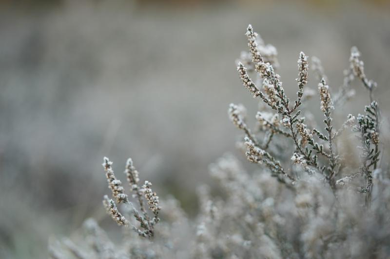 ADVISORY: Orange weather warning in place for Tipperary from this evening