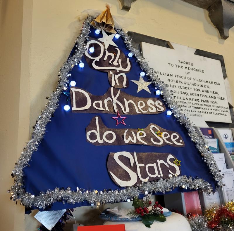 PICTURES: Check out these beautiful Christmas Trees from last week's festival in Nenagh