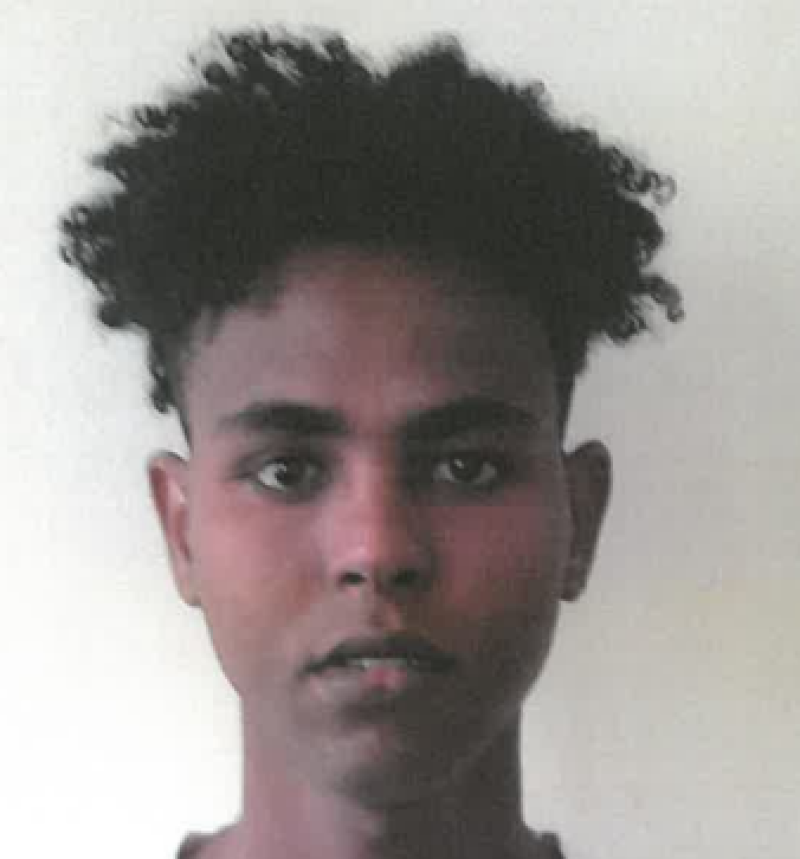Have you seen this boy? Garda&iacute; seek information on missing 16-year-old 