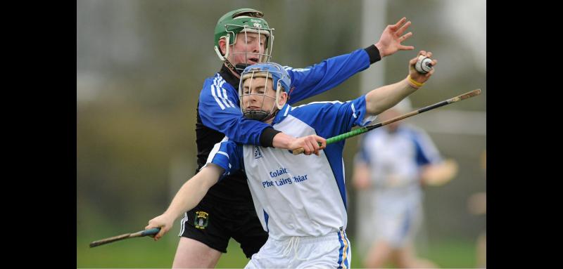HARTY CUP REWIND: See all the teams and reports from Nenagh CBS's previous four finals
