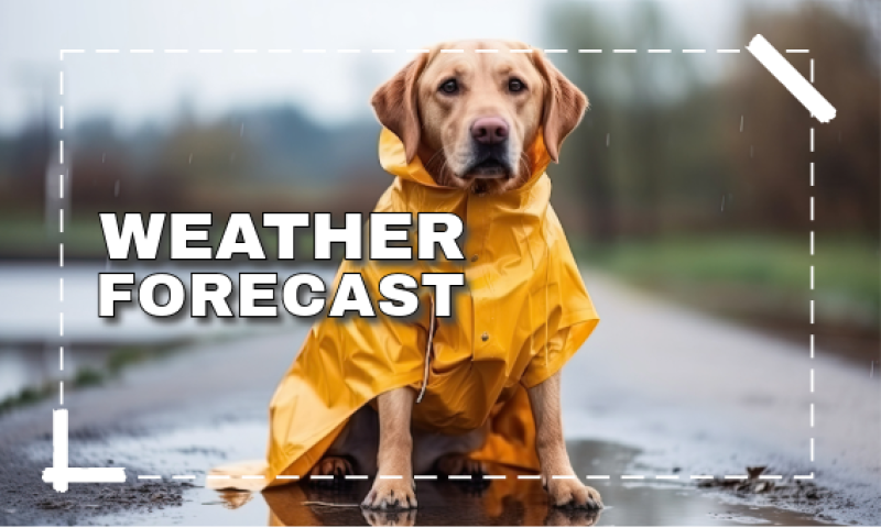 Met Eireann weather forecast for Ireland for the coming week with milder weather on the way
