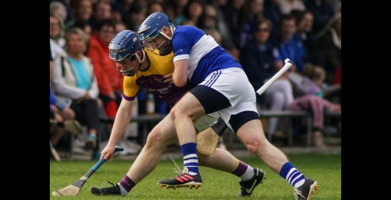 Silvermines fall over the line to win North Junior B hurling title at the expense of Newport