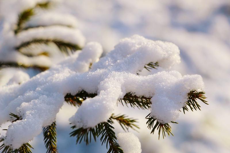 BREAKING: Met Eireann warns of 'significant snowfall accumulations' in Tipperary