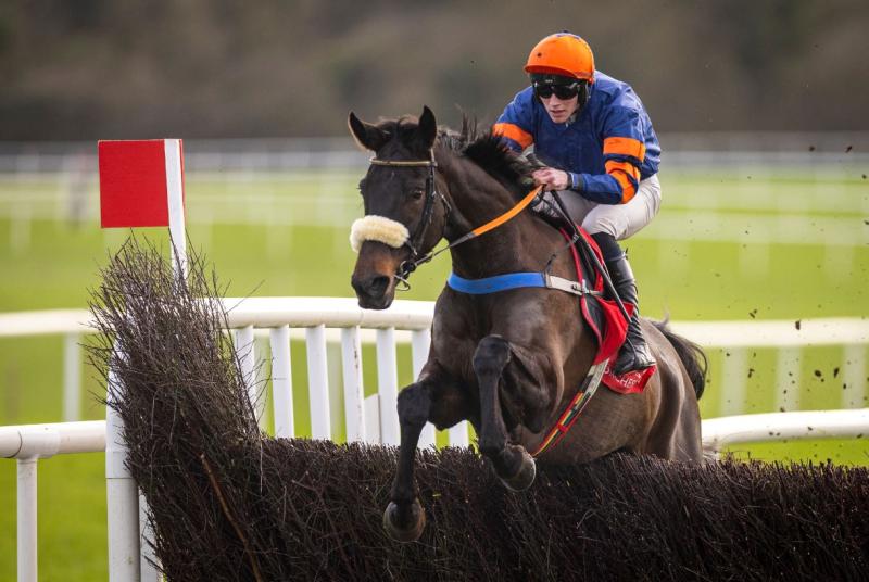 Another winner for Tipperary jockey Cian Quirke this time at Punchestown