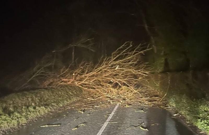 LIVE: More than 560,000 homes without power as Storm Éowyn continues to batter Ireland