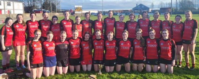 Coláiste Phobal, Ros Cré shine with fantastic camogie performance  