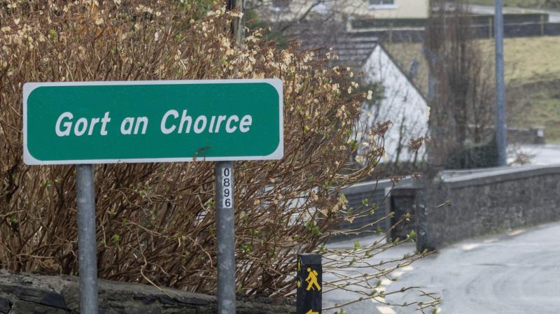 Two men (20s) killed in tragic Donegal car crash named locally 