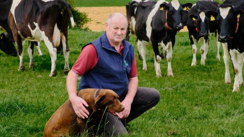 Tipperary farm leader calls for Bluetongue Vaccine to be made available in smaller volumes
