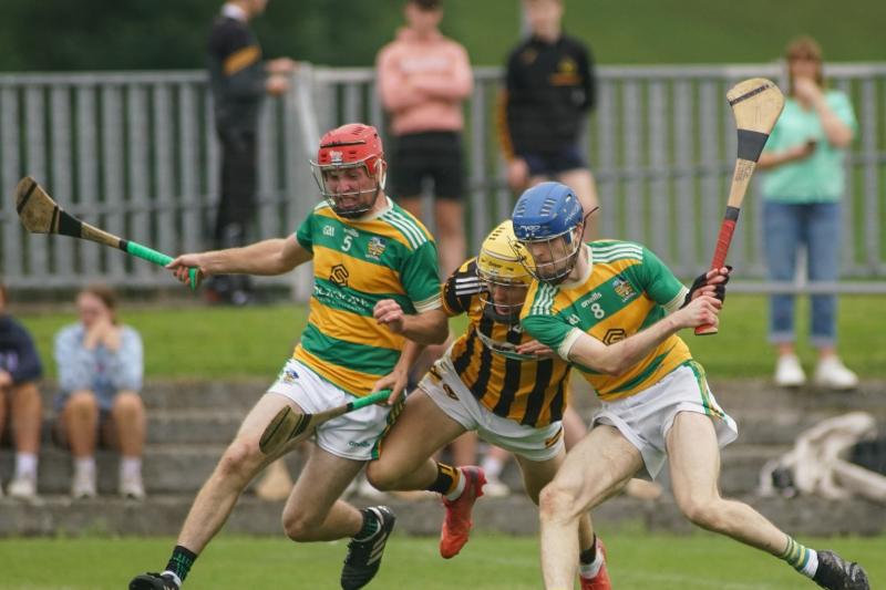 TEAM OF THE WEEK: Tipperary Premier Intermediate Hurling Championship - Round 2