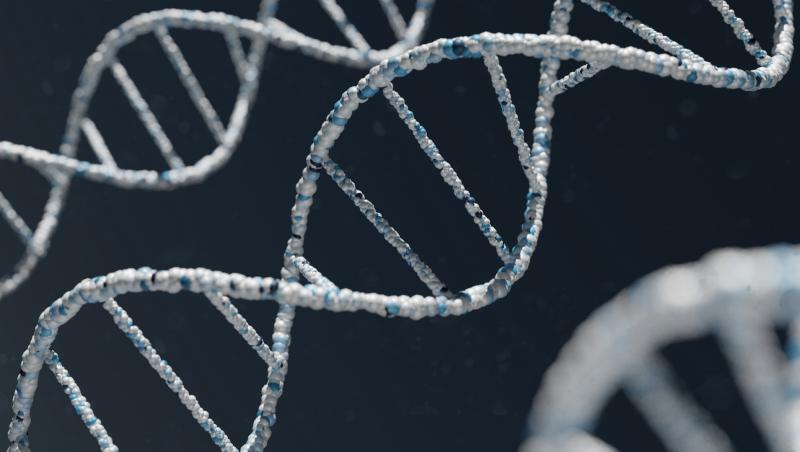 Local Tipperary town to host free DNA event as part of Science Week