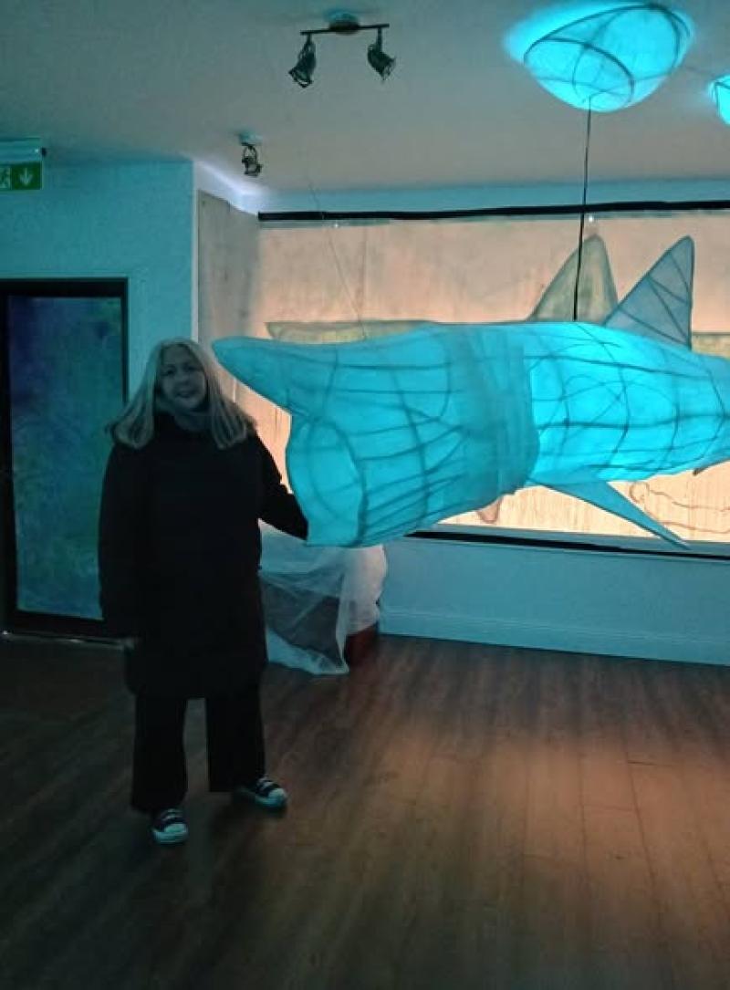 Get up close and personal with basking sharks at Tipperary Town art exhibition