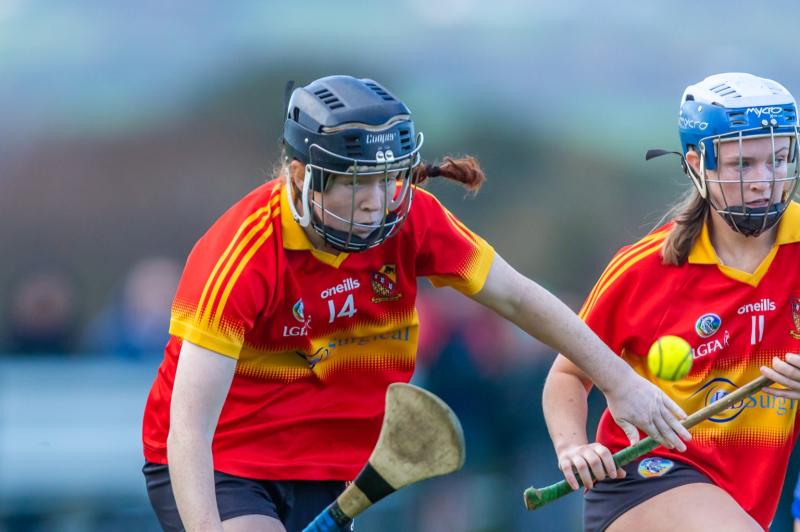 Moycarkey Borris foiled by resilient Ballincollig in exciting Munster final encounter