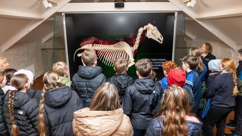 Tipperary horse country experience welcomes first primary school tour