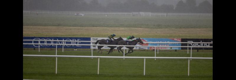 Alternative temporary venues announced for Tipperary horse racing fixtures