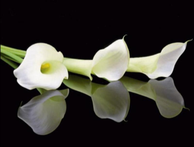 RIP: Tipperary deaths and funeral details,