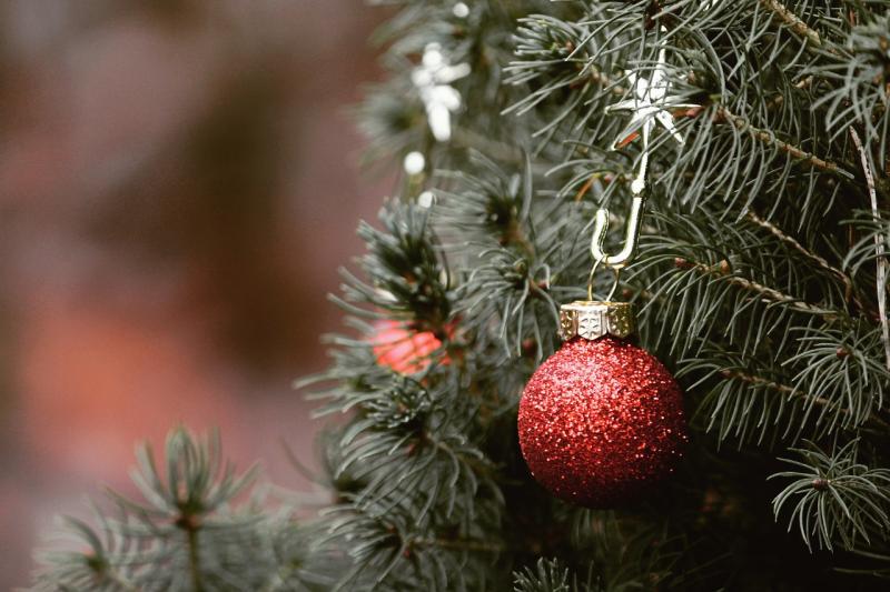 Tipp County Council announce free Christmas tree return scheme 