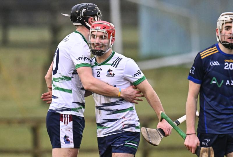 REVEALED: See the list of 45 Tipperary players to feature in this year's Fitzgibbon Cup 