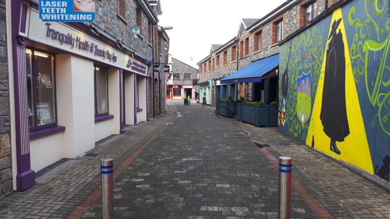 Tipperary councillors come to blows over issue with lights on local street