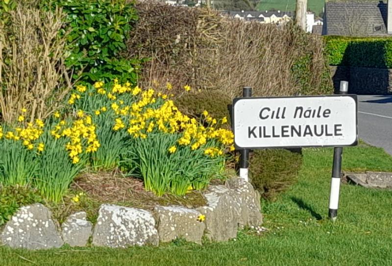 Council's refusal to take in charge Tipperary car park described as 'missed opportunity'