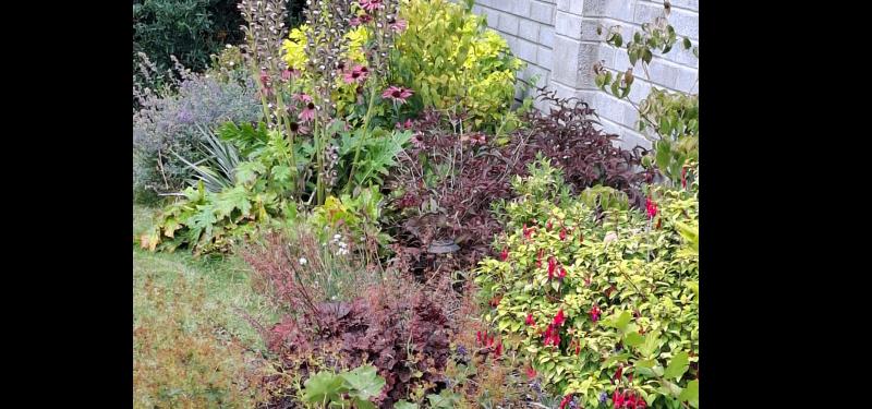 Garden Club in Tipperary prepares to hold its first meeting of the year