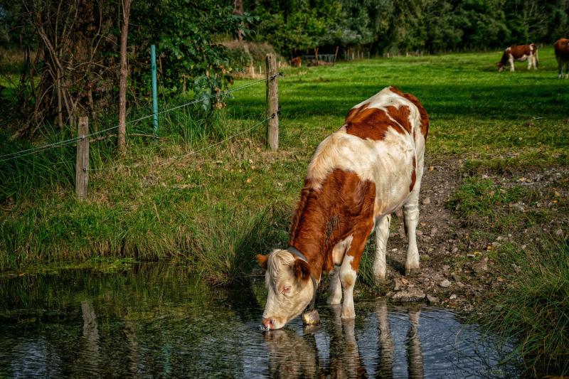 REVEALED: Tipperary farmers told to lead efforts to protect the county&rsquo;s water resources