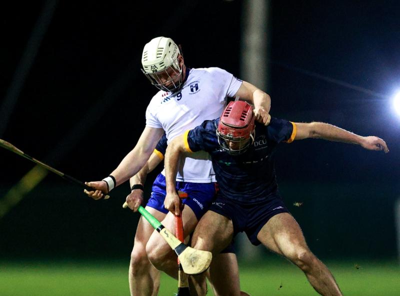 Tipperary hurlers to the fore as Mary Immaculate College qualify for Fitzgibbon Cup final