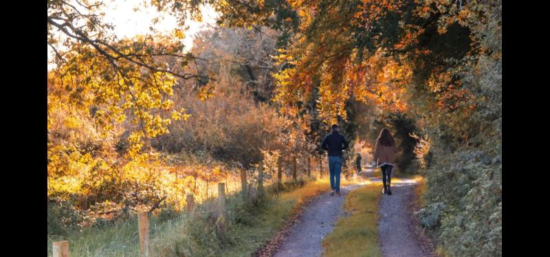 Planning permission upheld for extension of popular looped walk in Tipperary
