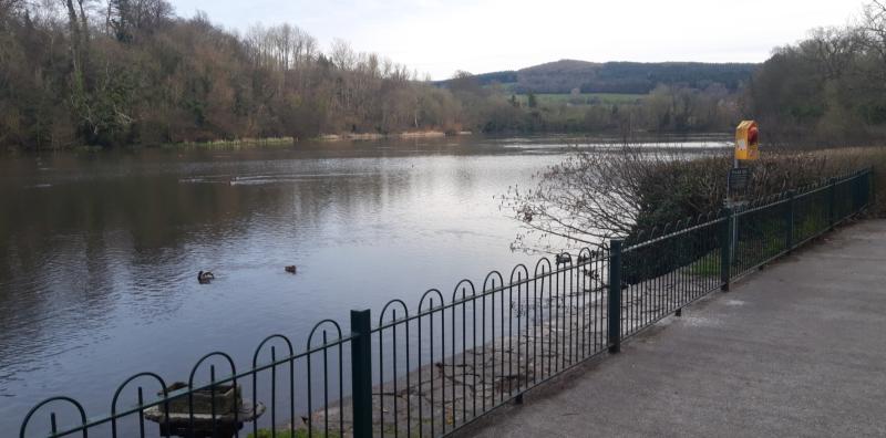 Beautiful village in Tipperary needs your help with life-saving device