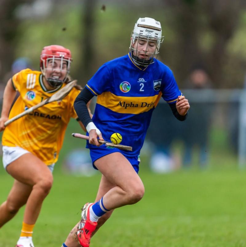 Tipperary camogie begin Division 1A campaign with commanding win over Antrim