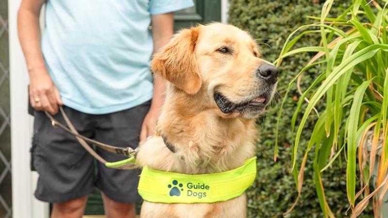 Irish Guide Dogs will reopen the waiting list for its Assistance Dog Programme 