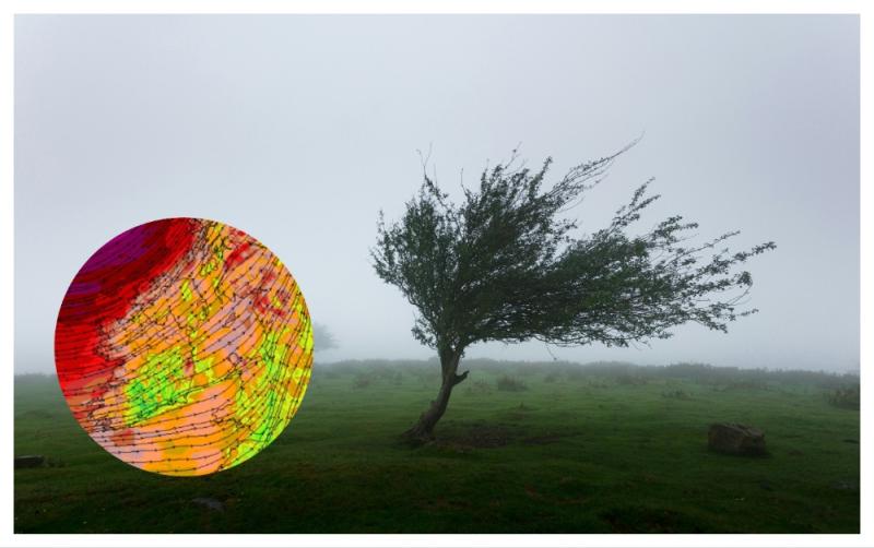 Strong winds set to batter Ireland as wind warnings issued for entire country