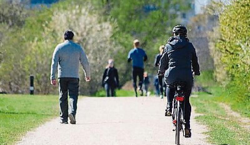 "Making a mountain out of a molehill"- councillor questions greenway process