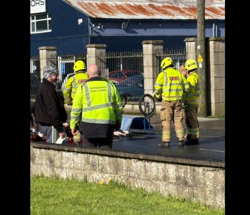 Plea made for ban on use of sulkies on public roads after horse fatality on Tipperary road