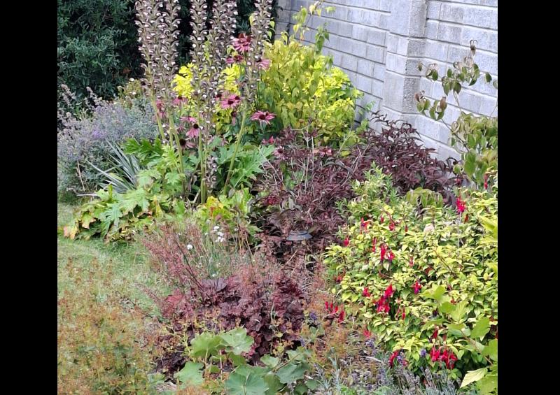 Garden club in Tipperary will welcome April with its monthly meeting