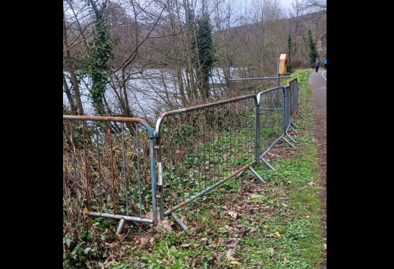 Barrier installed to protect nesting swans at lake in Tipperary