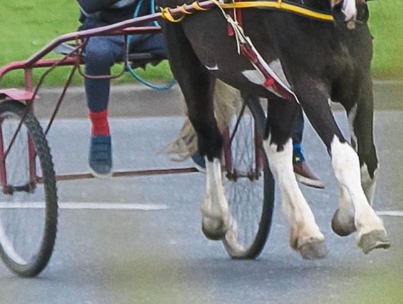 Protest planned in a Tipperary town after horrifying horse death sparks outrage
