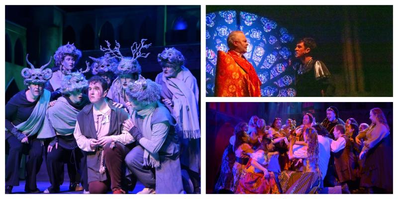 MORE PICTURES: Tipperary musical society dazzles crowds with exciting performance