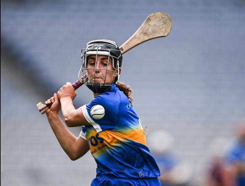 Nenagh Éire Óg  stars join the coaching team for club's fun-filled summer camp