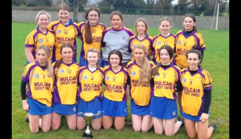 REPORTS: Minor camogie titles for Newport/Ballinahinch and Cahir