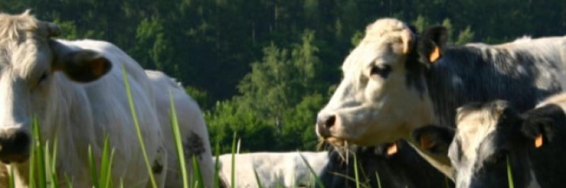 Toomevara farm leader says sector willing to meet climate targets, but State has a role