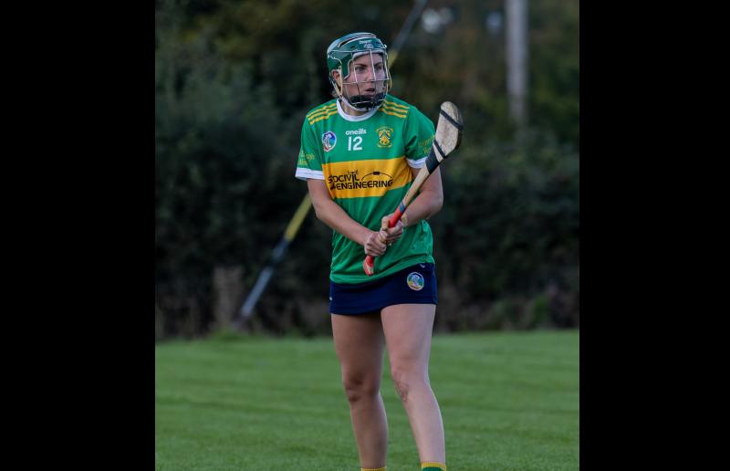 PREVIEWS: Camogie down to semi-finals this weekend