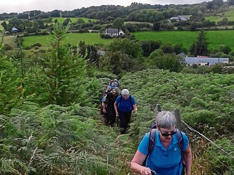 Nenagh Walking Club all set for Tonntinna climb 'as Ghaeilge'