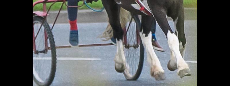 Nenagh sulky race follower fined for breaching Covid-19 travel restrictions