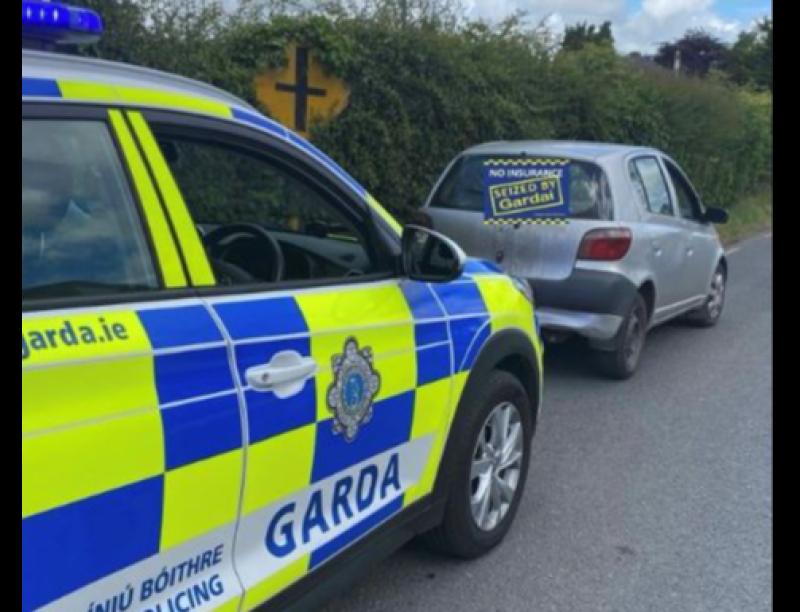 You won't believe what a motorist produced when pulled over by Tipperary gardaí