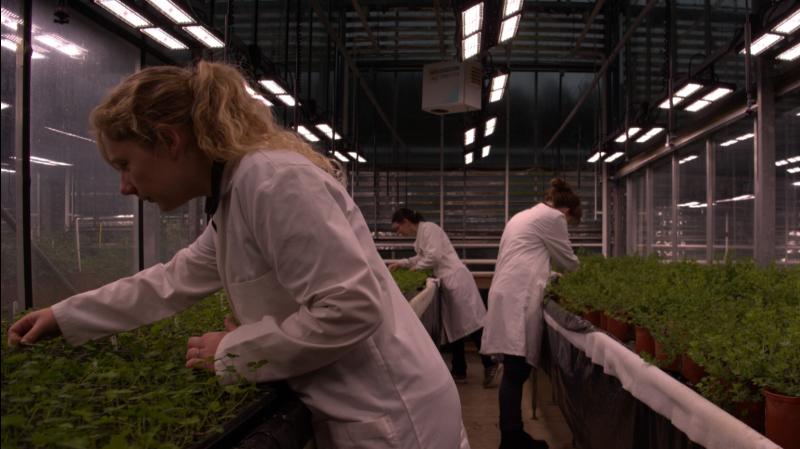 Tipperary agri-business in €4m research programme to cut applied nitrogen fertilizers