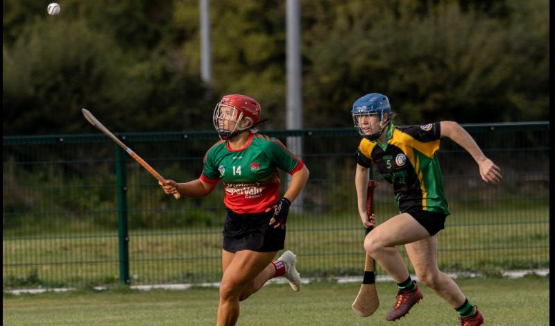 REVIEW: Senior camogie throws up some interesting results last weekend