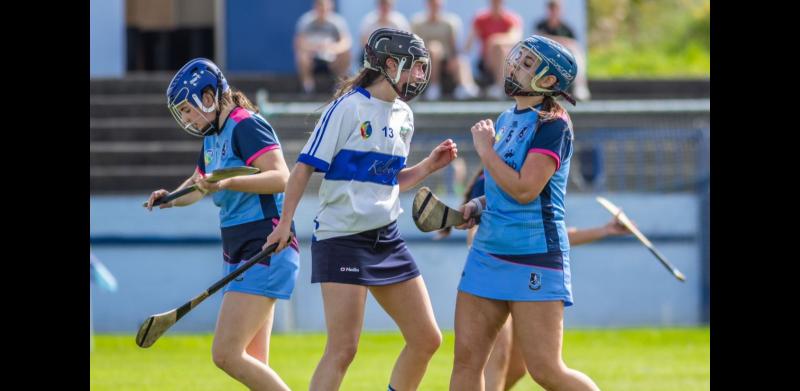 CAMOGIE: Round-up of all the opening round games across the grades in Tipp championship