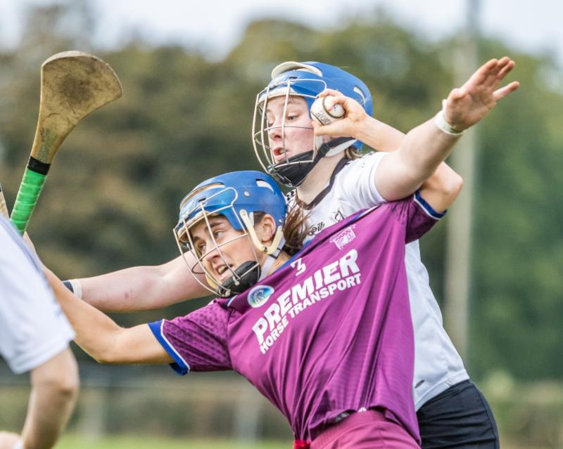 Borris-Ileigh and Shannon Rovers into final after intermediate semi-final weekend